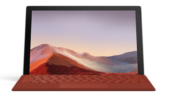白碱滩清洁和维护 Surface